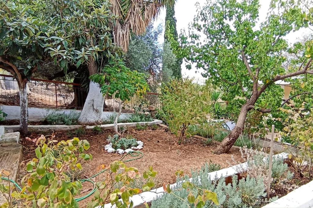 Ferienwohnung O Palaios Fournos Tou Andrea Argostoli  Exterior foto